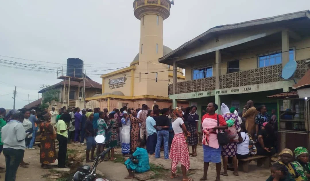 Voters queuing at a polling unit during the Osun State governorship election.