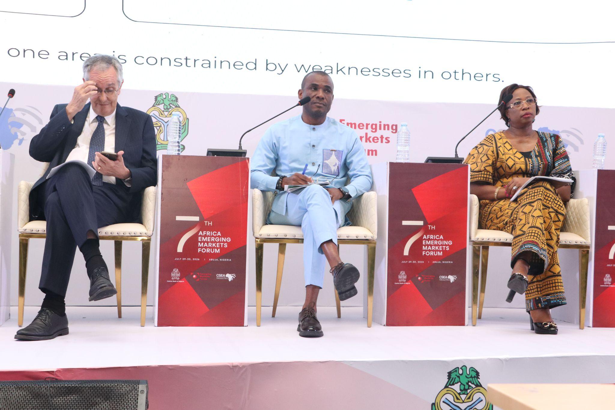 Chika Nwosu, Managing Director of PalmPay Nigeria, speaking at the 7th Africa Emerging Markets Forum.